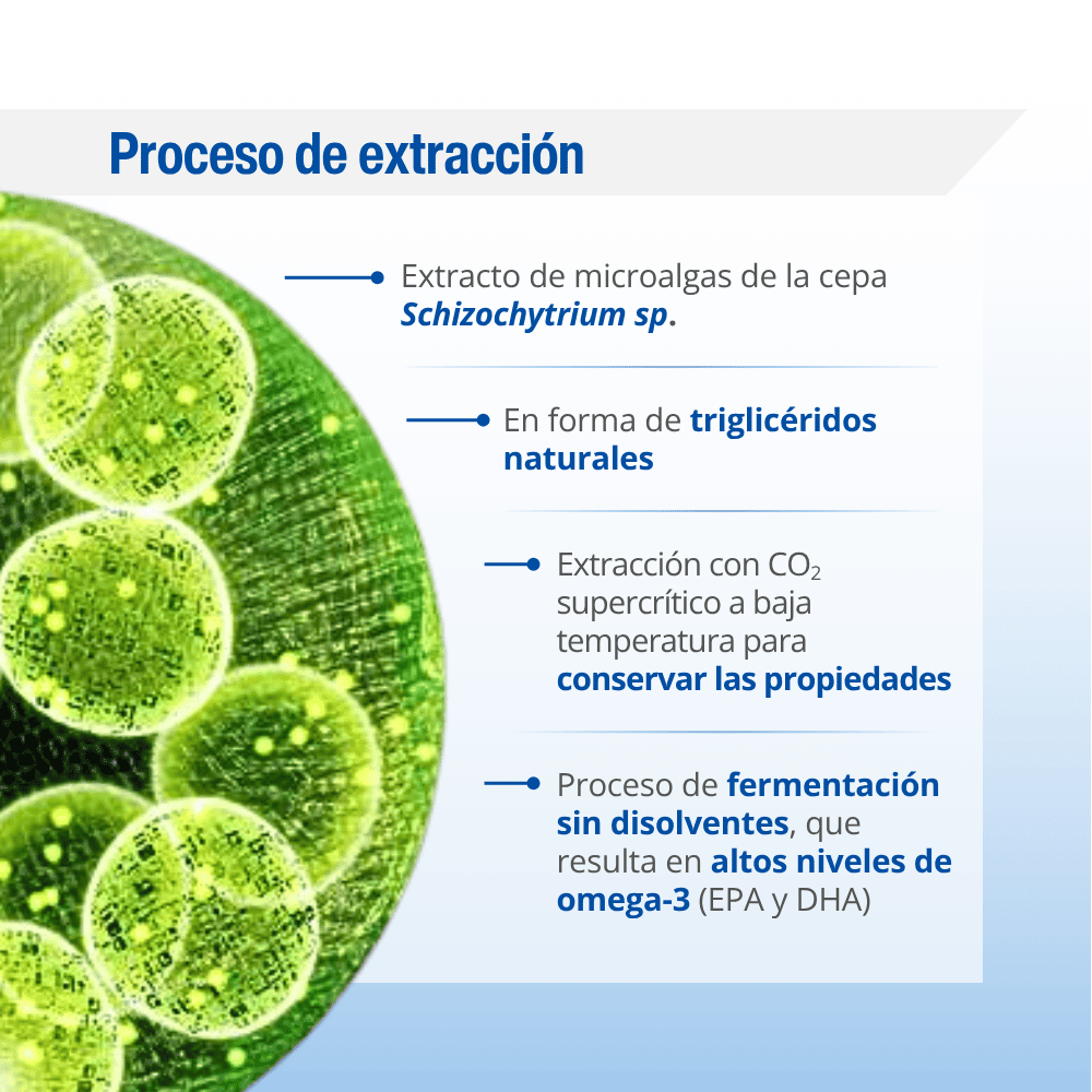 Omega 3 Vegano líquido — imagen 4