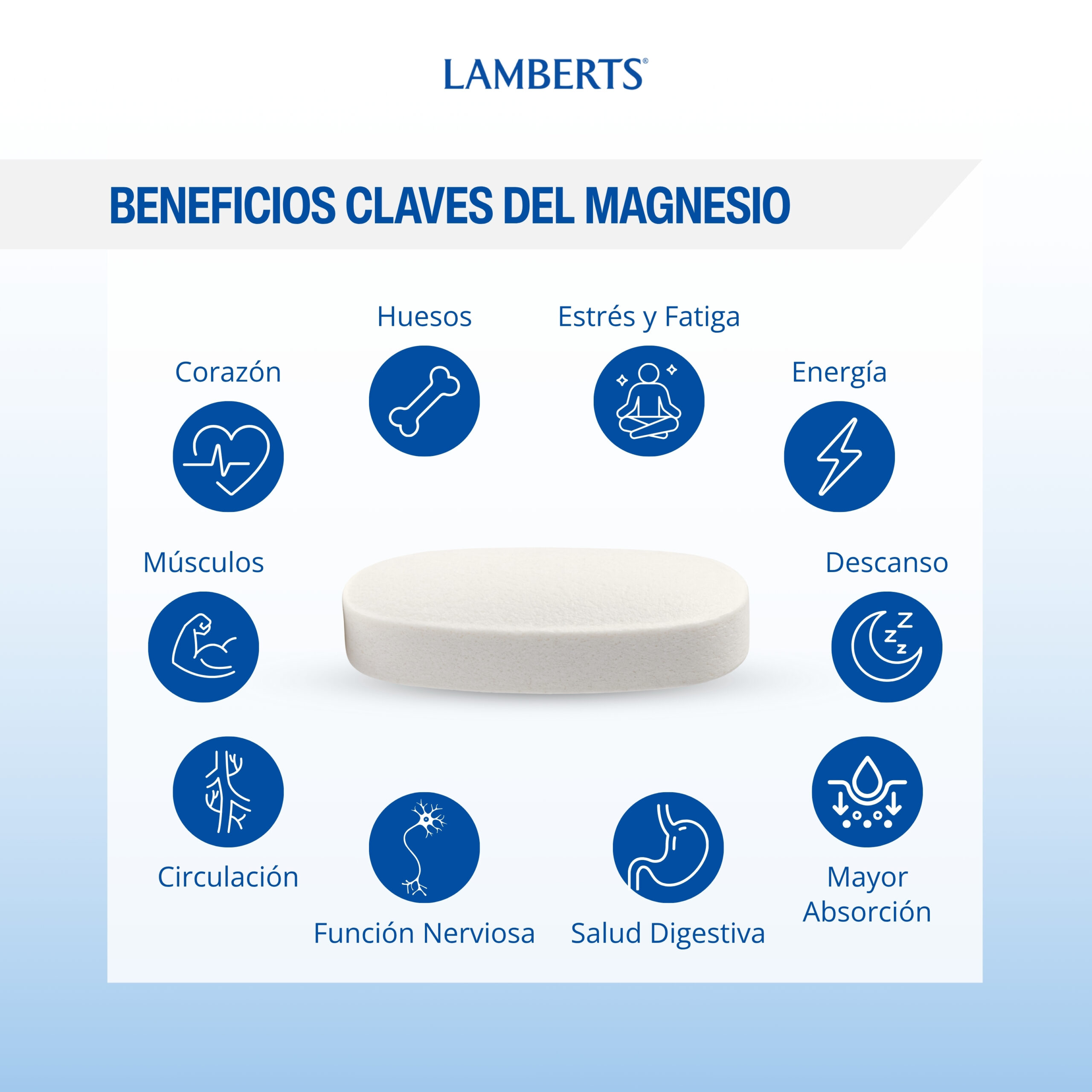 Magnesio Bisglicinato 150 mg. Biodisponible y suave. — imagen 4