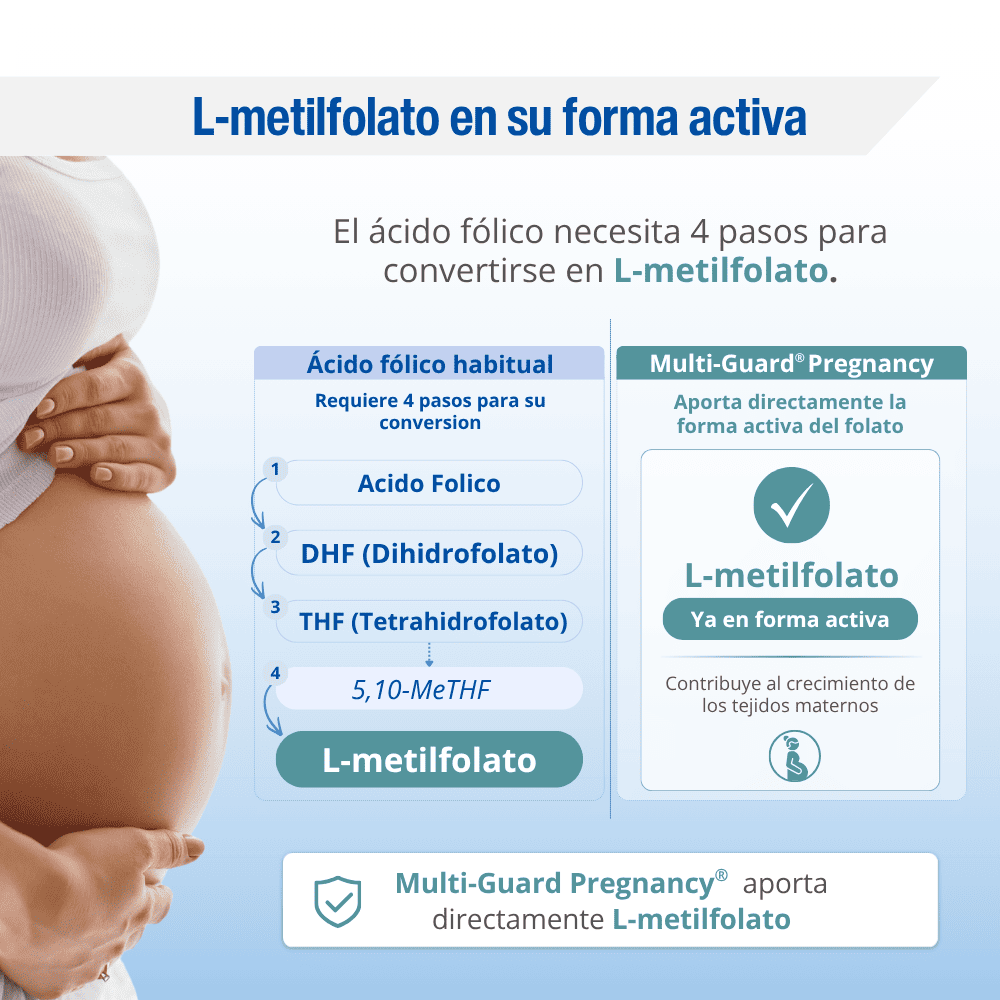 Multi-Guard® Pregnancy — imagen 5