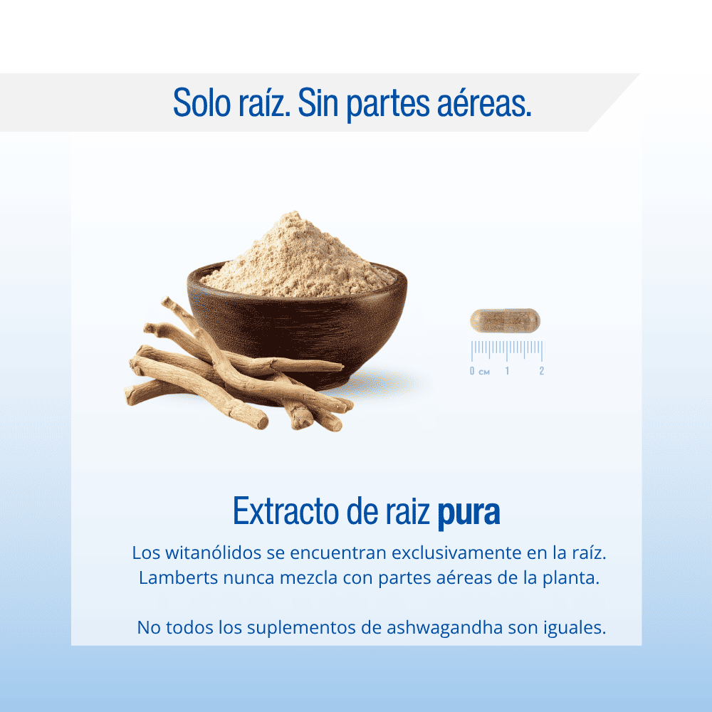 Ashwagandha Advance ( Withania somnifera ) — imagen 3