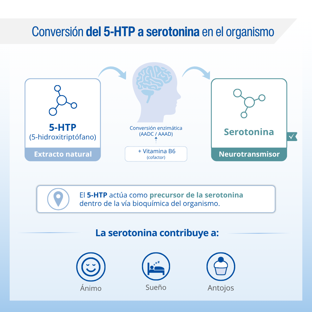 Extracto de Semillas de Grifonnia — imagen 5